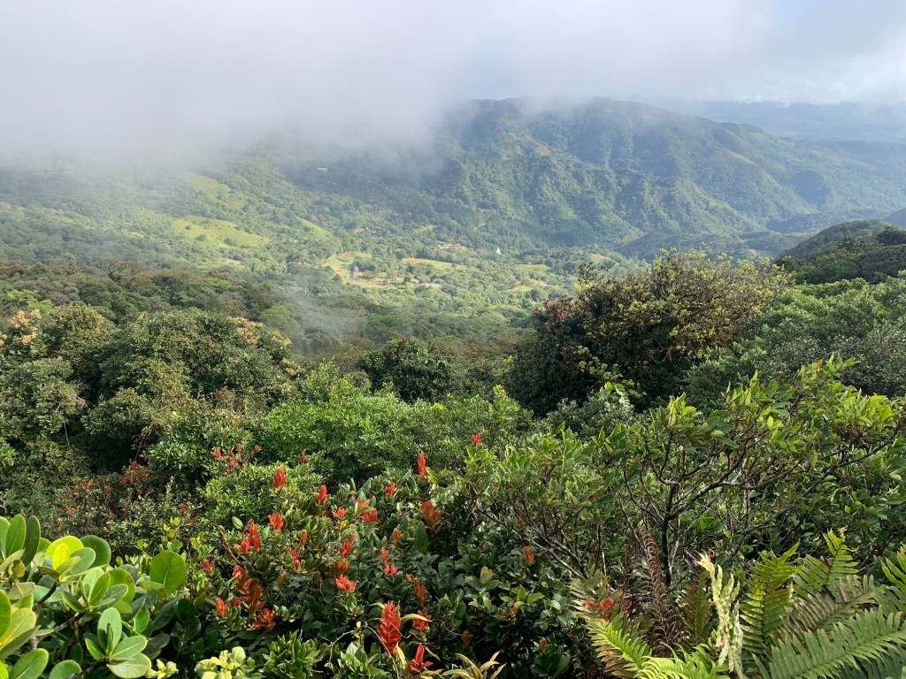 Yoga Time – Third Time’s a&nbsp;Charm