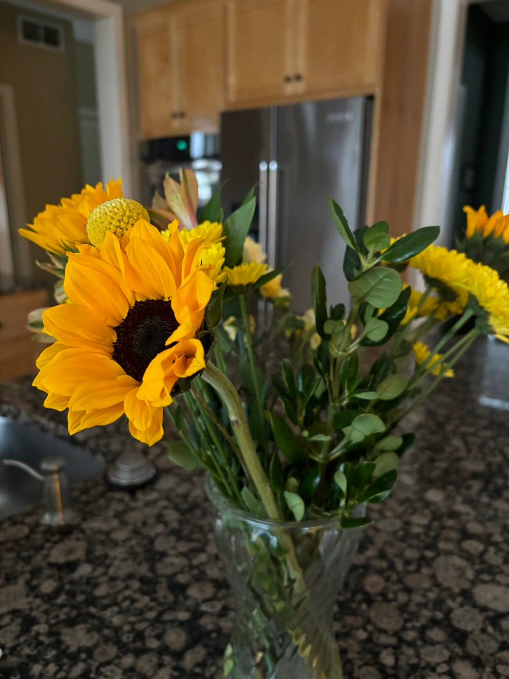 A Fascinating Peek Into What Makes Our Lives&nbsp;Tick