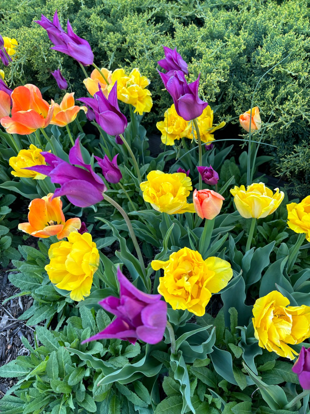 Rethink Your Weekend