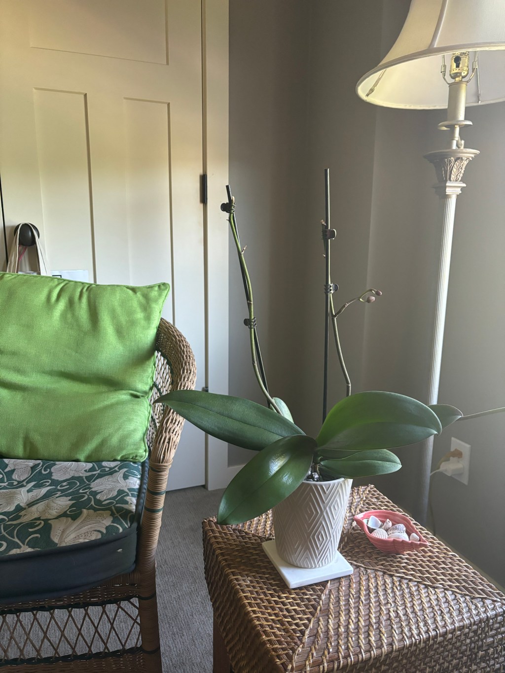 What An Orchid Teaches Us About&nbsp;Growth