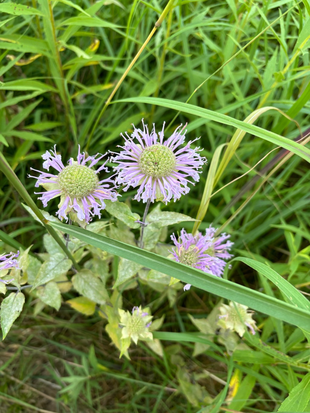 No Excuses for Daily Exercise – Your Personal&nbsp;Olympics