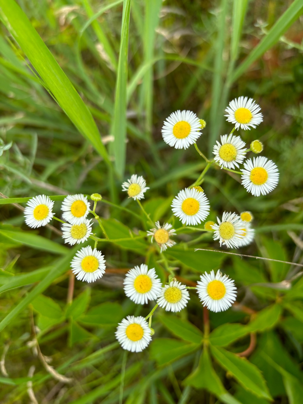 Thank Goodness it’s&nbsp;Monday