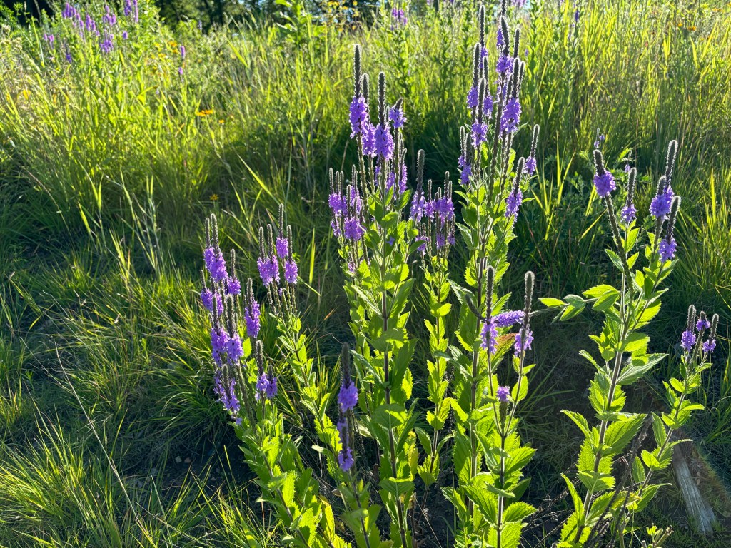 Start Something Today