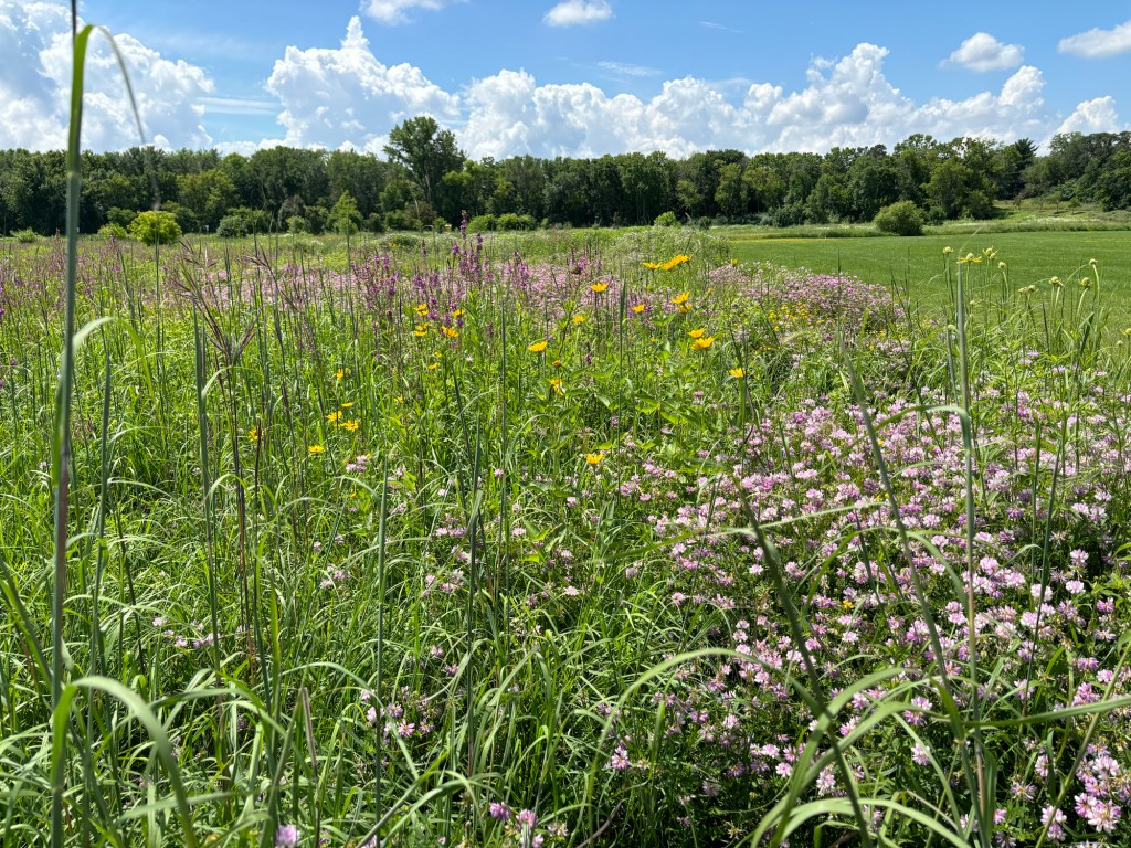 A Picture is Worth 400 Words, Give or&nbsp;Take