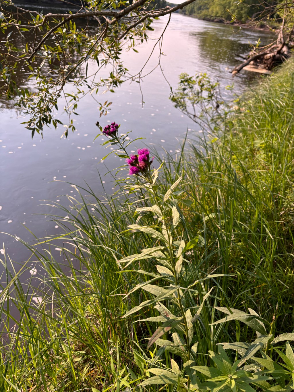 It’s Saturday. It’s&nbsp;Summer.