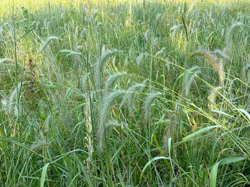 Small Talk Sucks, Or Does&nbsp;It?