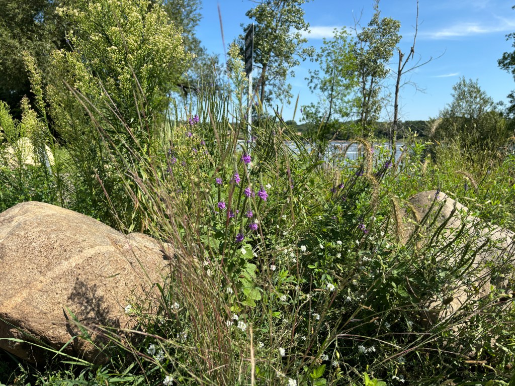 Long-distance Friendships Enrich Our&nbsp;Lives