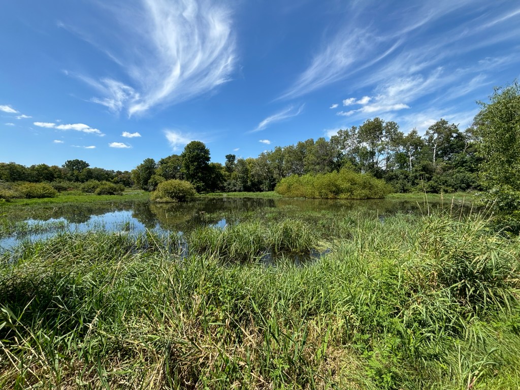 Change is in the&nbsp;Air