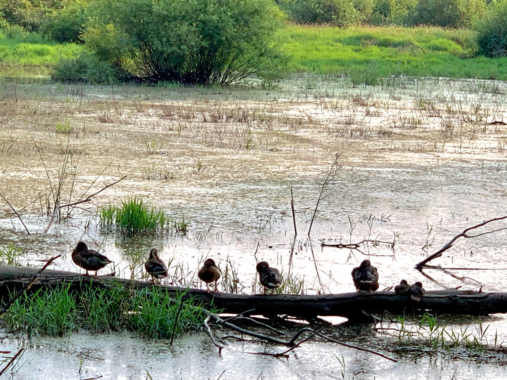 Losing 20+pounds This&nbsp;Weekend