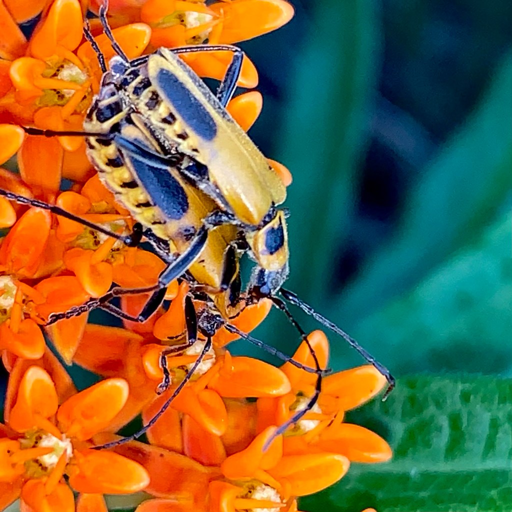 Morning Person or Night Owl – New Habits May&nbsp;Stick