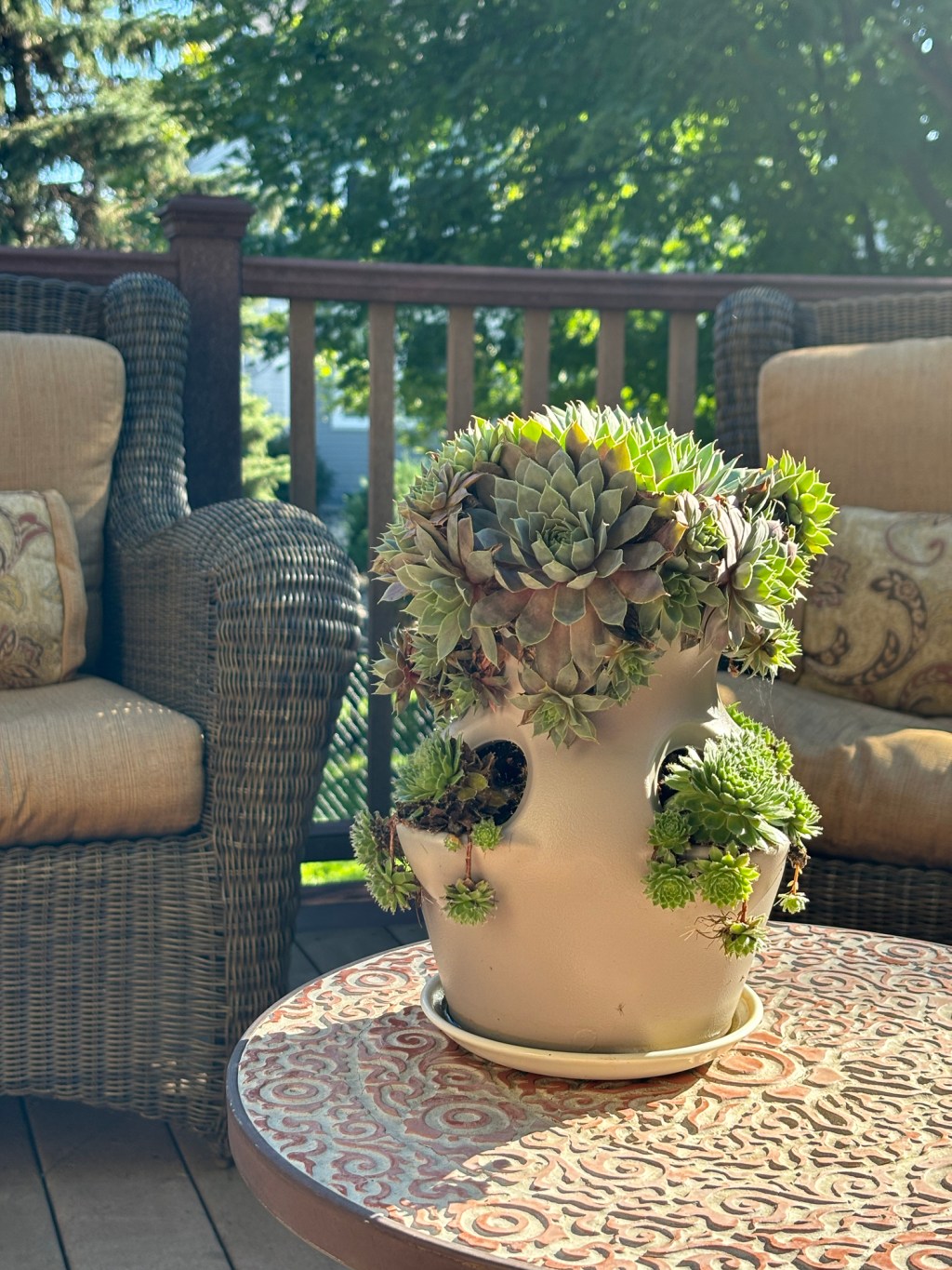 Not Reading or Listening, But Definitely&nbsp;Searching