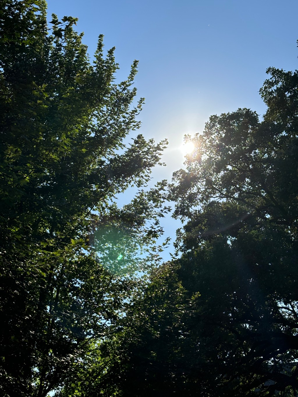 Broaden Your Horizons – Support Worthy&nbsp;Causes