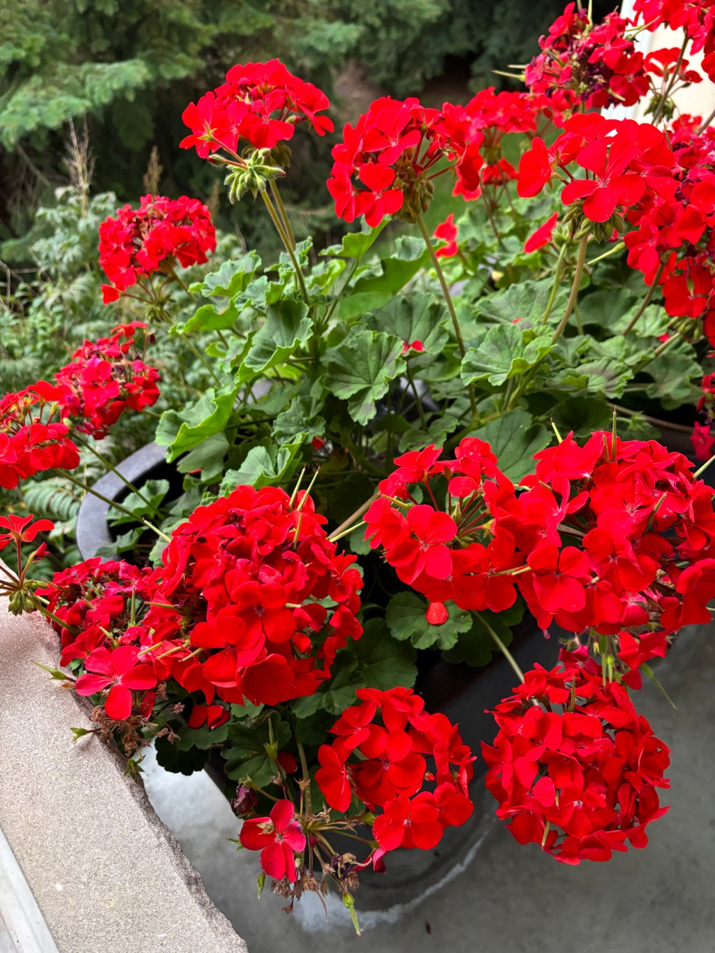 Excuses vs. Explanations: What Does the Situation Call&nbsp;For?