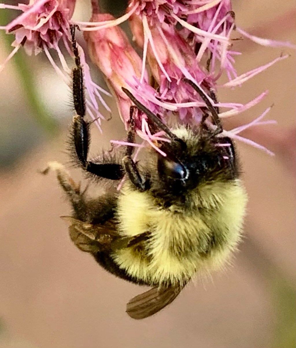 Monday Motivation: Being Busy vs Feeling&nbsp;Busy