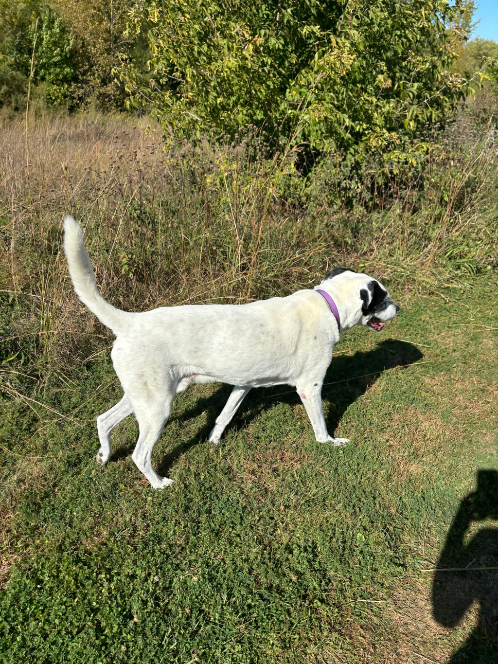 Finding Sources of&nbsp;Stimulation