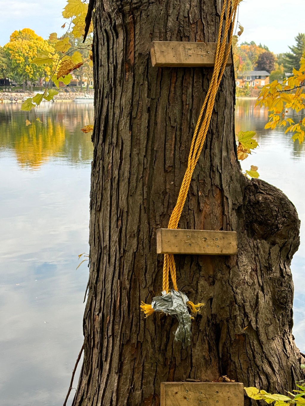 Hidden Pathways: What We See When We’re&nbsp;Ready