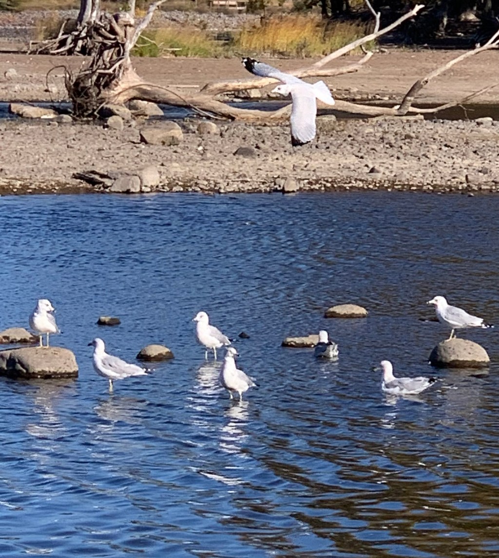 Embracing Transition After Travel: Finding Balance at&nbsp;Home