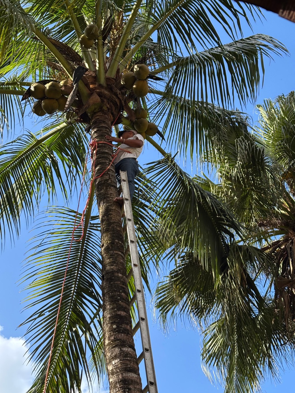 From Picky to Pipa, Drop Food Preconceptions to Savor Fresh&nbsp;Flavors