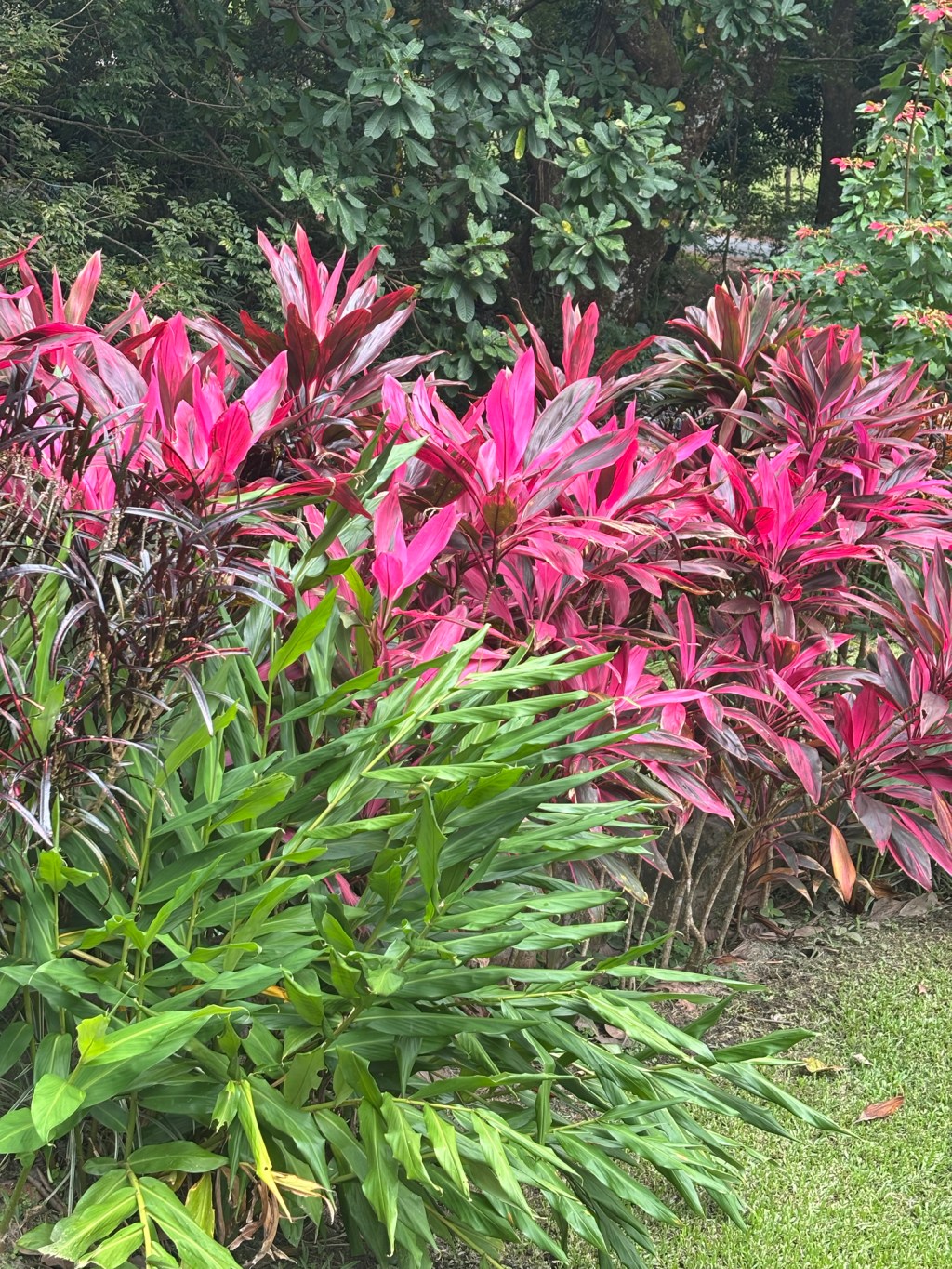 Day No. Two of the New&nbsp;Year